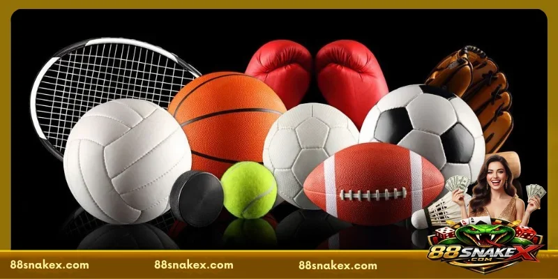 A brief overview of 88SNAKE Sports