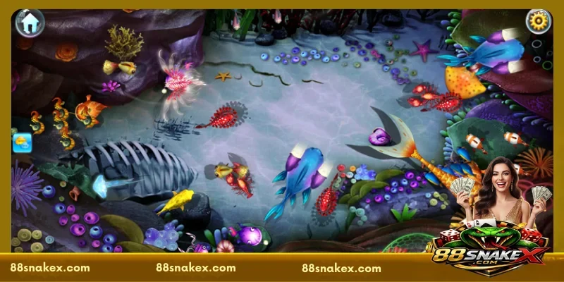 Outstanding advantages of betting at 88SNAKE Fishing