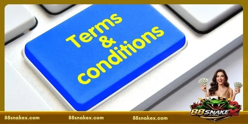 Responsible Gaming Principles in the 88SNAKE Terms and Conditions